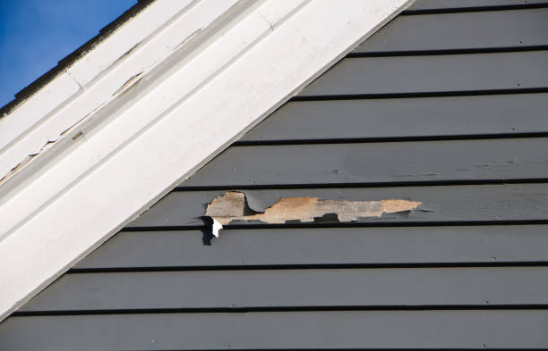 Best Wood Siding Installation  in Navarre, OH